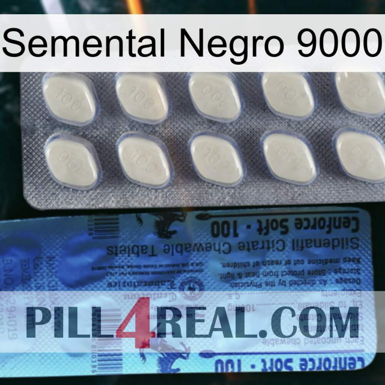 Black Stallion 9000 34